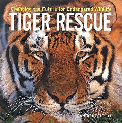 Cover image for Tiger Rescue: Changing the Future for Endangered Wildlife