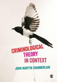 Cover image for Criminological Theory in Context