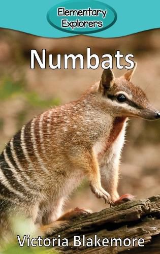 Cover image for Numbats