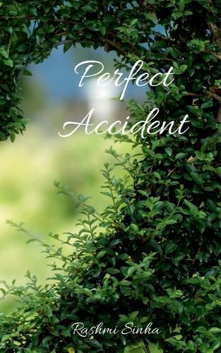 Cover image for Perfect Accident