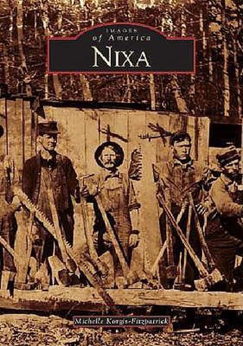 Cover image for Nixa