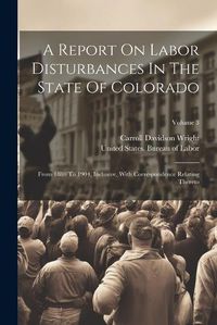 Cover image for A Report On Labor Disturbances In The State Of Colorado