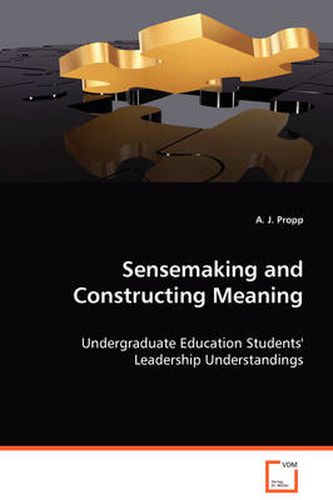 Cover image for Sensemaking and Construction Meaning