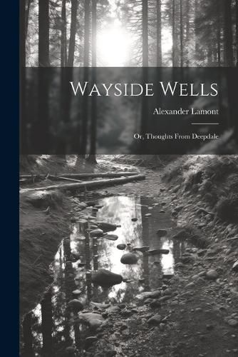 Cover image for Wayside Wells; Or, Thoughts From Deepdale