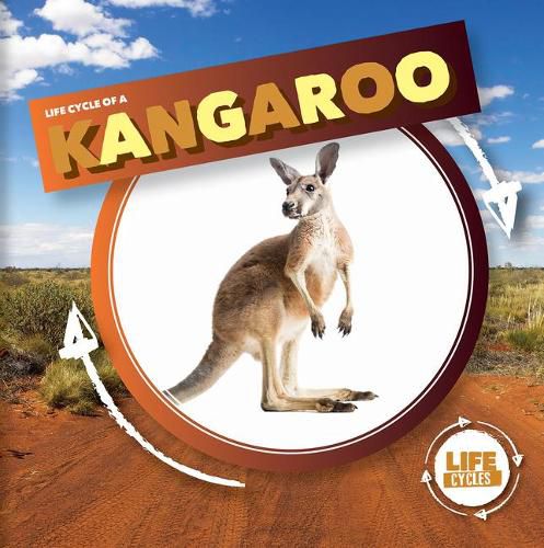 Cover image for Life Cycle of a Kangaroo