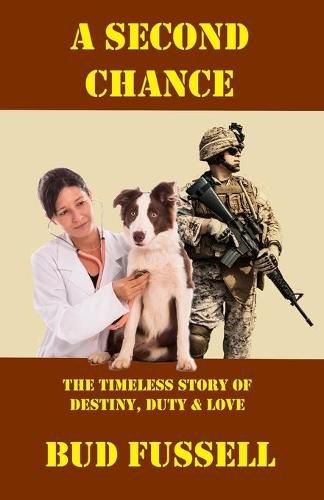 Cover image for A Second Chance