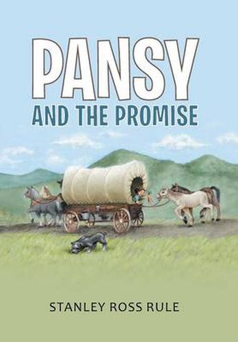 Cover image for Pansy and the Promise