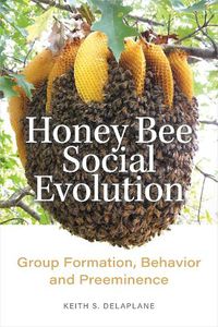 Cover image for Honey Bee Social Evolution