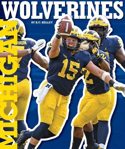 Cover image for Michigan Wolverines