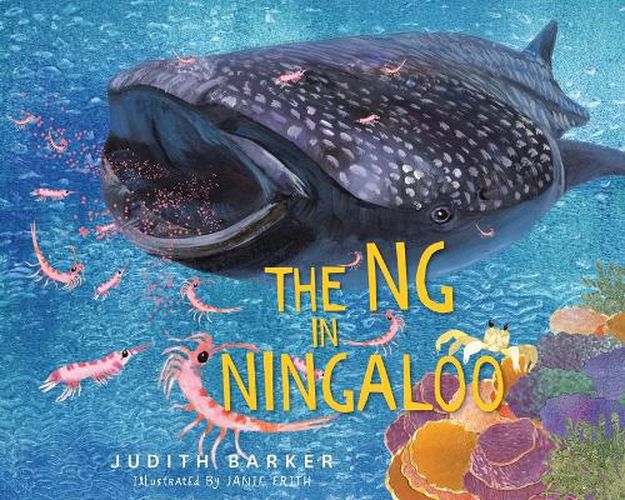 The NG in Ningaloo