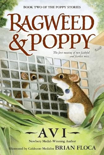Cover image for Ragweed and Poppy