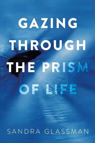 Cover image for Gazing Through the Prism of Life