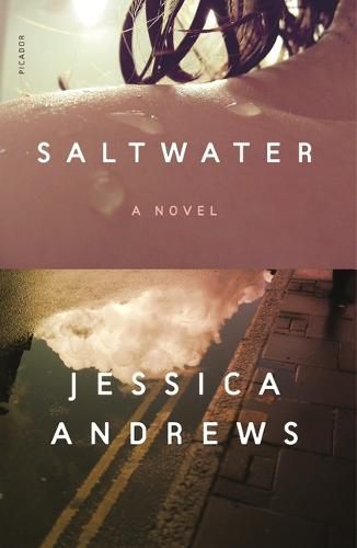 Cover image for Saltwater