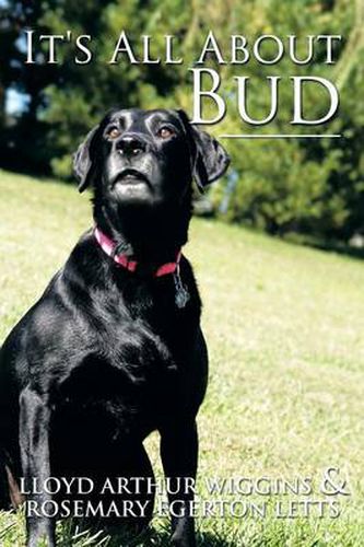 Cover image for It's All about Bud