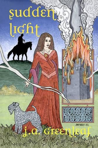 Cover image for Sudden Light: Donegal's Novel