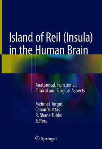 Cover image for Island of Reil (Insula) in the Human Brain: Anatomical, Functional, Clinical and Surgical Aspects