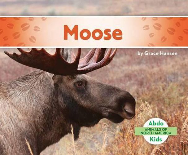 Cover image for Moose