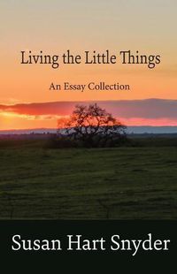 Cover image for Living the Little Things: An Essay Collection