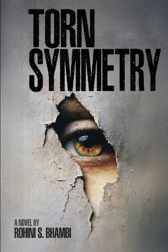Cover image for Torn Symmetry