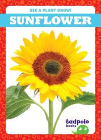 Cover image for Sunflower