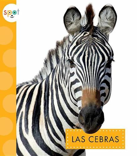 Cover image for Las Cebras