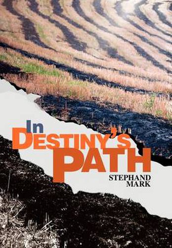 Cover image for In Destiny's Path