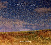 Cover image for Sean Palfrey: Wander