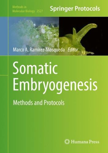 Cover image for Somatic Embryogenesis: Methods and Protocols