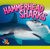 Cover image for Hammerhead Sharks