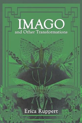 Cover image for Imago and Other Transformations