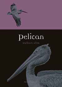 Cover image for Pelican