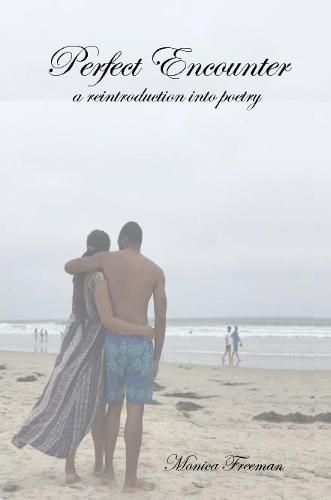 Cover image for Perfect Encounter: a reintroduction into poetry