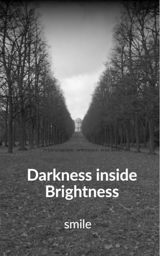 Cover image for Darkness inside Brightness