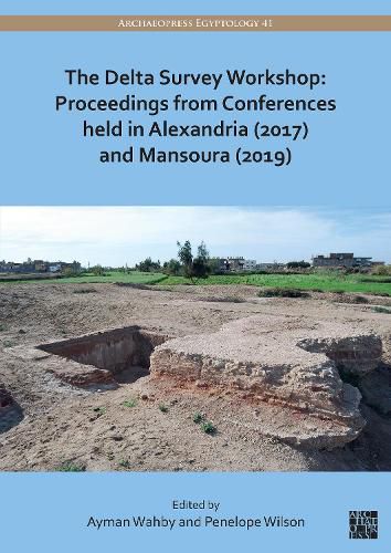 Cover image for The Delta Survey Workshop: Proceedings from Conferences held in Alexandria (2017) and Mansoura (2019)