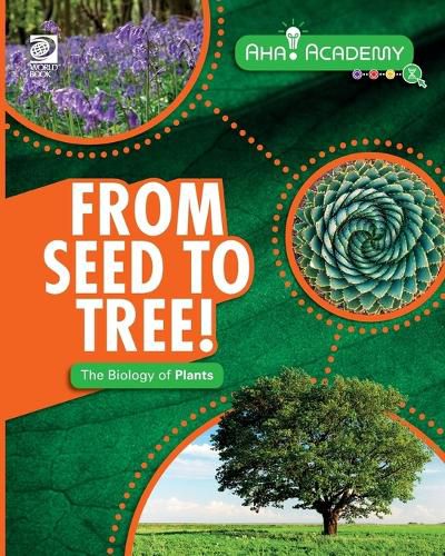 Cover image for From Seed to Tree! The Biology of Plants
