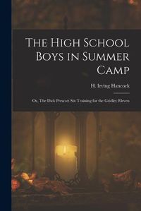 Cover image for The High School Boys in Summer Camp