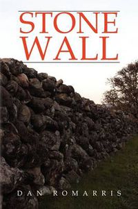 Cover image for Stone Wall
