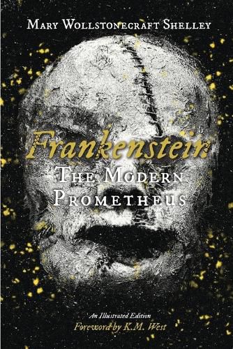 Cover image for Frankenstein