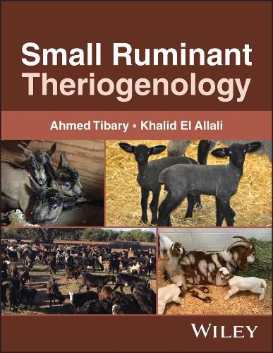 Cover image for Small Ruminant Theriogenology