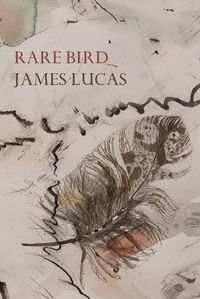 Cover image for Rare Bird