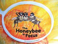 Cover image for The Honeybee in Focus