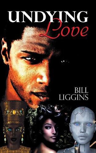 Cover image for Undying Love