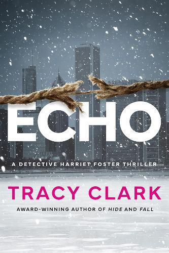 Cover image for Echo