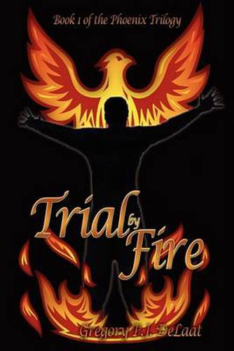 Cover image for Trial by Fire