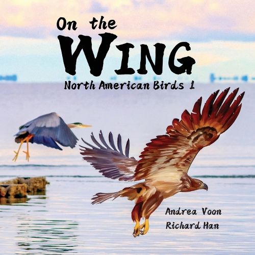 On the Wing - North American Birds 1