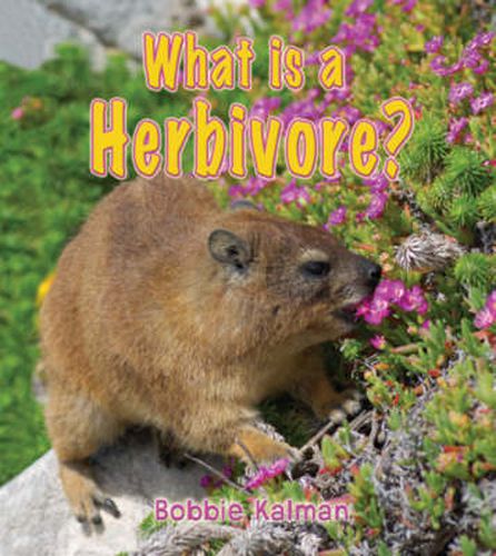 Cover image for What is a Herbivore