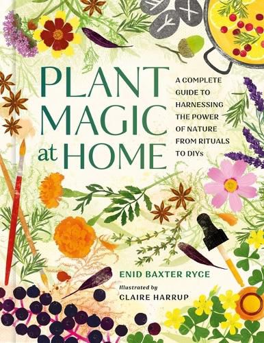 Cover image for Plant Magic at Home