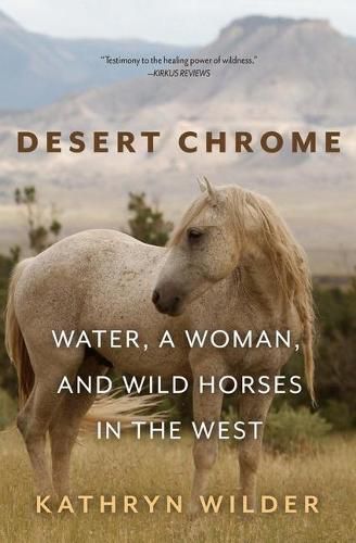 Cover image for Desert Chrome: Water, a Woman, and Wild Horses in the West