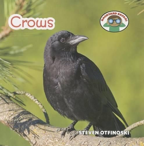 Crows