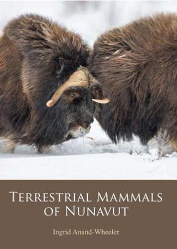 Cover image for Terrestrial Mammals of Nunavut